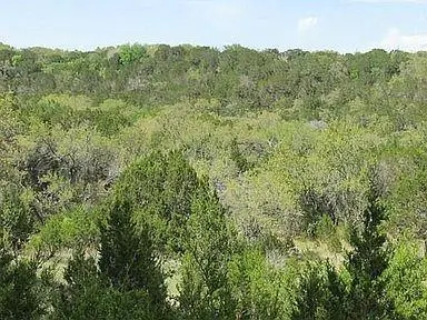 350 Bluff RD, Spicewood, TX 78669