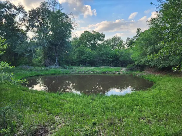 18155 Wellmann RD, Washington, TX 77880