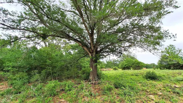18155 Wellmann RD, Washington, TX 77880