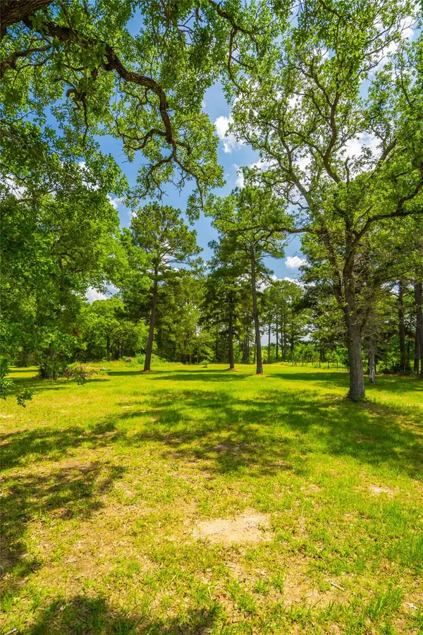 677 Old Antioch RD, Smithville, TX 78957
