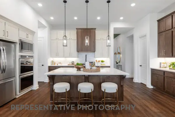 204 Blossom Cottage DR, Hutto, TX 78634