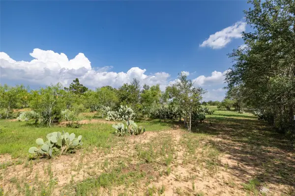 410 Green Acre DR, Dale, TX 78616