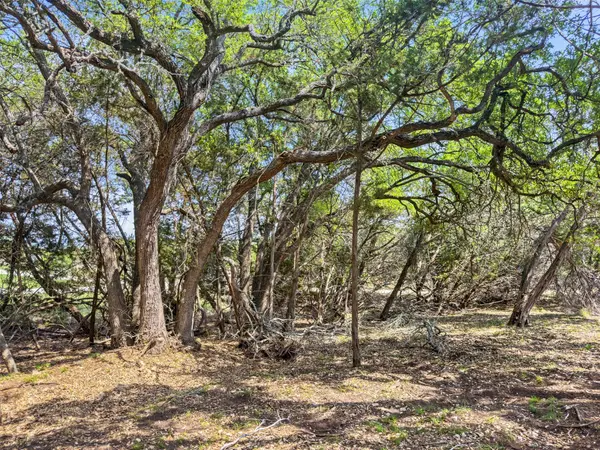 369 Onion Creek LN, Blanco, TX 78606