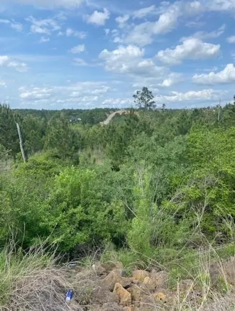 Lot 4 Kainalu LN, Bastrop, TX 78602