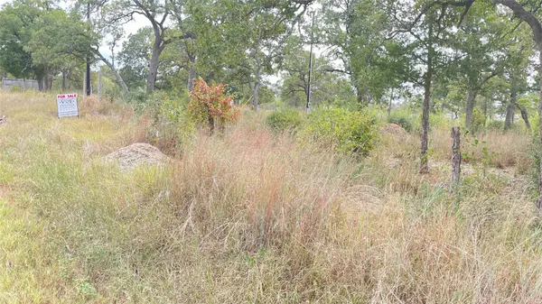 191 Tuck ST, Cedar Creek, TX 78612
