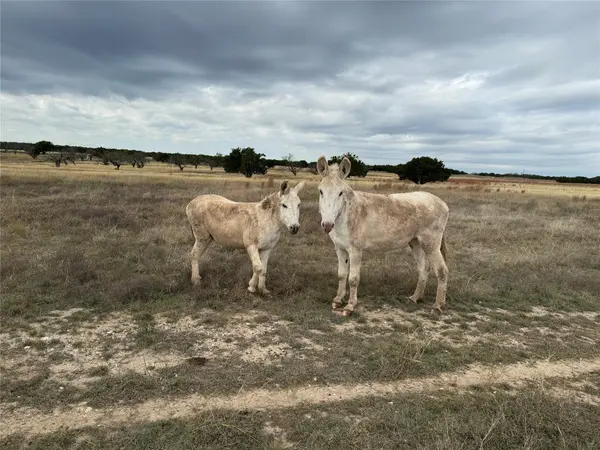 1115 Tract 3 - County Road 204, Burnet, TX 78611