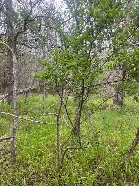 Lot 628 Hilea CT, Bastrop, TX 78602