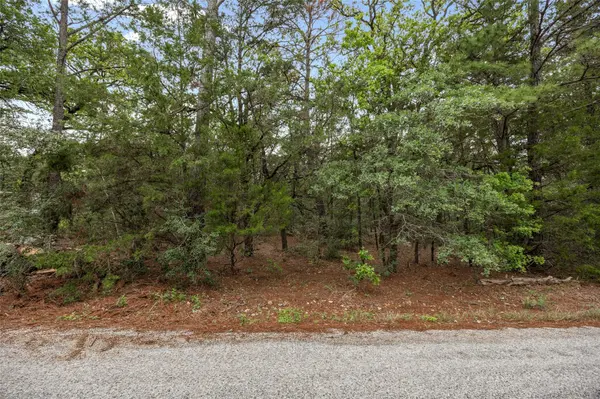 TBD Commanche DR, Smithville, TX 78957