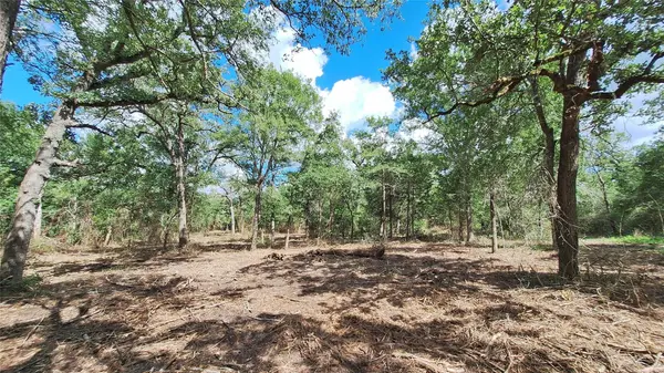 1014 Beaver Lake DR, Caldwell, TX 77836