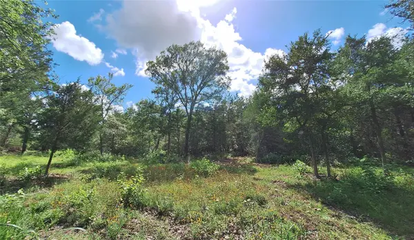 1014 Beaver Lake DR, Caldwell, TX 77836