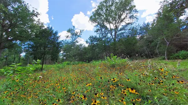 1014 Beaver Lake DR, Caldwell, TX 77836