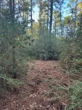 107 Lake Point WAY, Bastrop, TX 78602