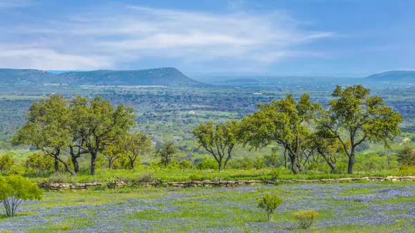 3531 RM-3347 - Lot 16, Round Mountain, TX 78663