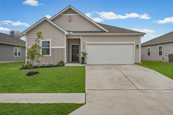 13501 Arthur Vandenburg WAY, Manor, TX 78653
