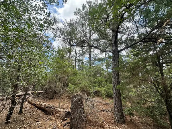217 Helemano DR, Bastrop, TX 78602