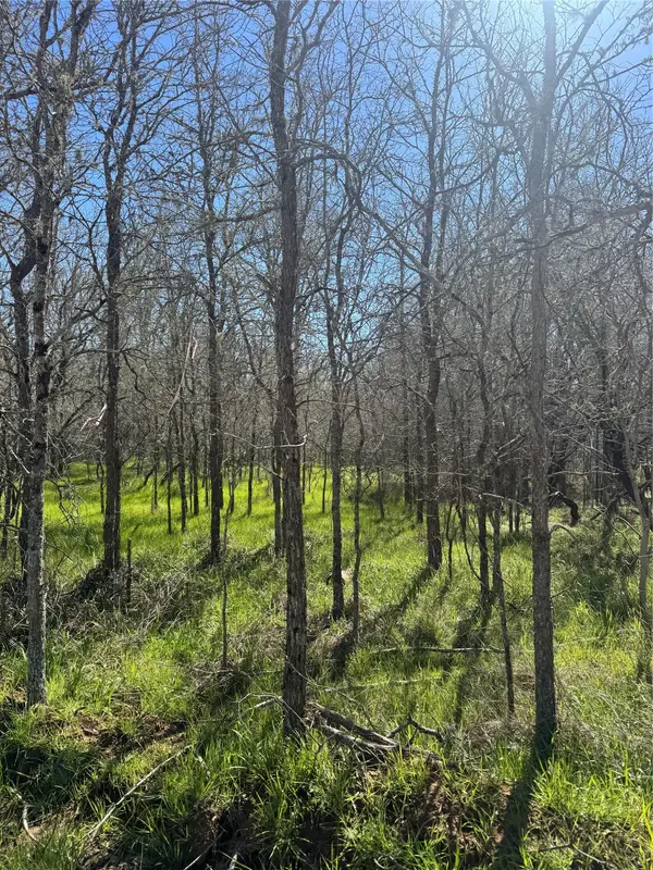 291 Kolekole LN, Bastrop, TX 78602