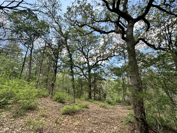 00 Oah CT, Bastrop, TX 78602