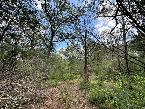 00 Oah CT, Bastrop, TX 78602