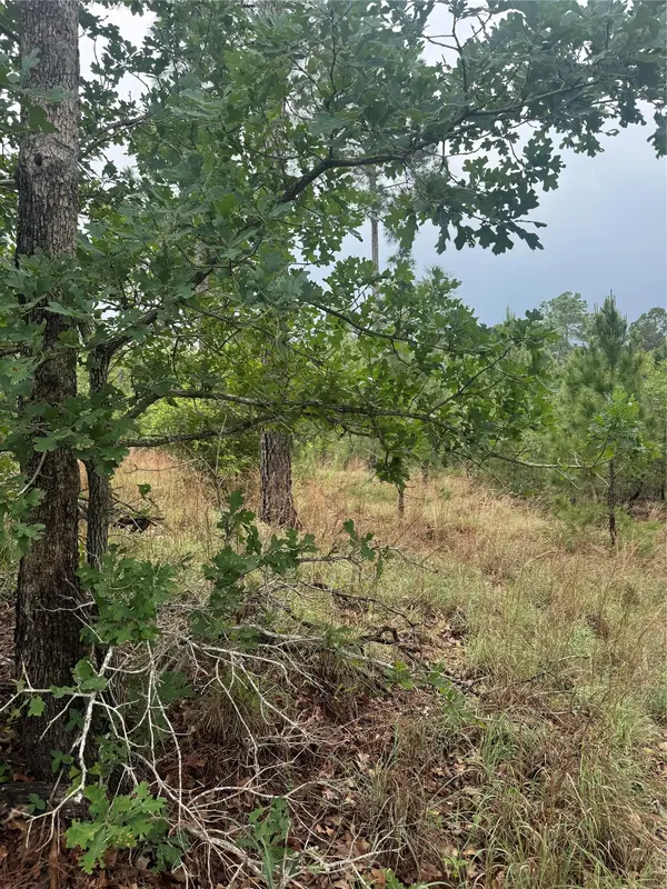 Lot 1612 Kaanapali LN, Bastrop, TX 78602