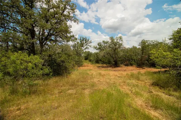 9057 Sycamore Shade LN, Kingsbury, TX 78155
