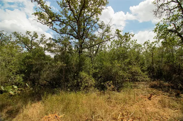 9057 Sycamore Shade LN, Kingsbury, TX 78155