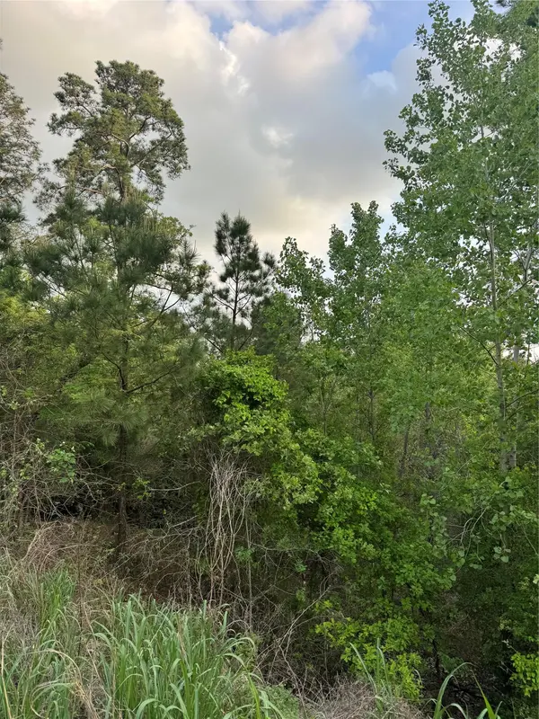 Lot 1386 N Pahihi DR, Bastrop, TX 78602