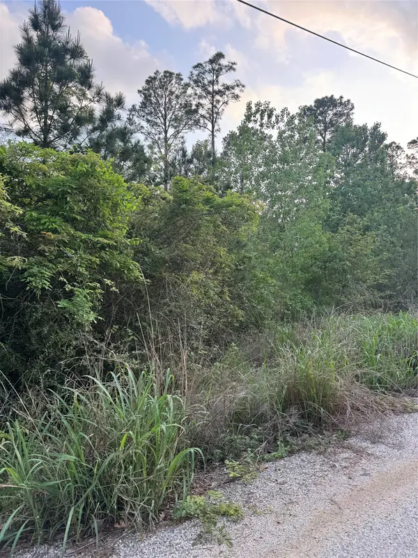 Lot 1386 N Pahihi DR, Bastrop, TX 78602