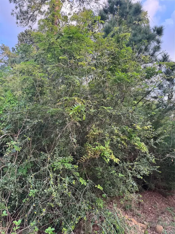 Lot 1386 N Pahihi DR, Bastrop, TX 78602