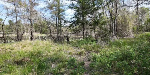 144 CR 219, Cameron, TX 76520