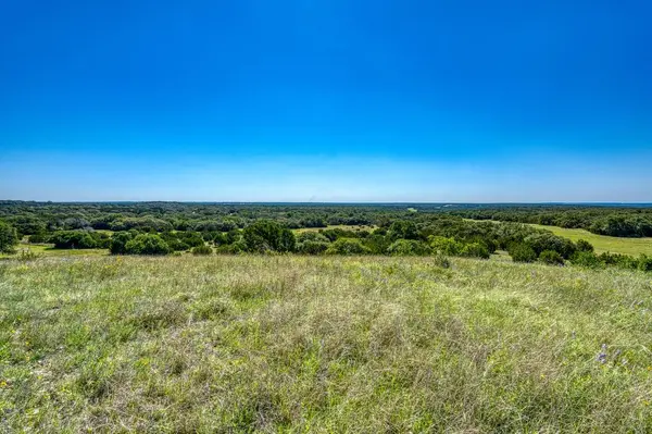 993 Blackbuck Ridge DR, Lampasas, TX 76550