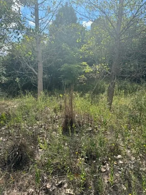 Lot 1339 Tahitian DR, Bastrop, TX 78602