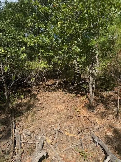 Lot 1339 Tahitian DR, Bastrop, TX 78602