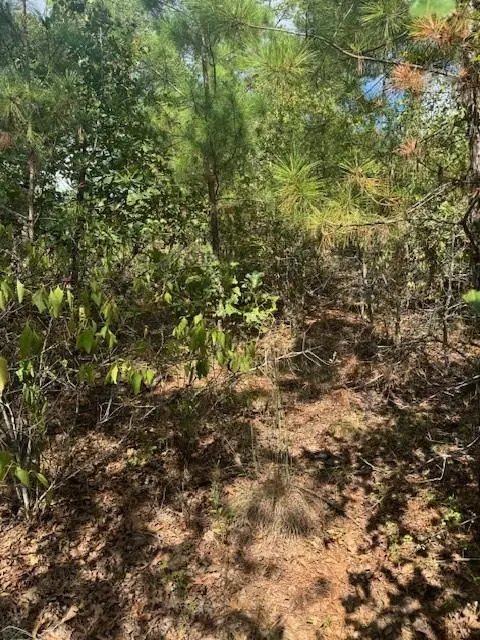 Lot 1339 Tahitian DR, Bastrop, TX 78602