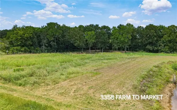 TBD FM 166 (+/-54 acres), Caldwell, TX 77836
