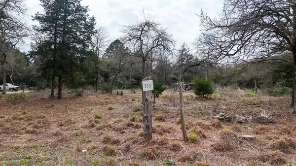 313 Dogwood DR, Caldwell, TX 77836