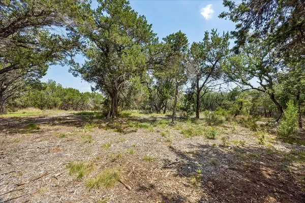 175 Spanish Oak LN, Liberty Hill, TX 78642