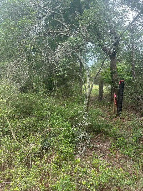 Lot 58-61 Pecan DR, Caldwell, TX 77836