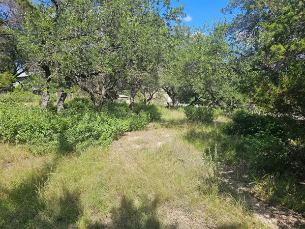 19508 Timberline DR, Spicewood, TX 78669