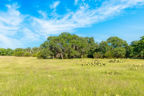 32 Feild Ranch RD, Burnet, TX 78611