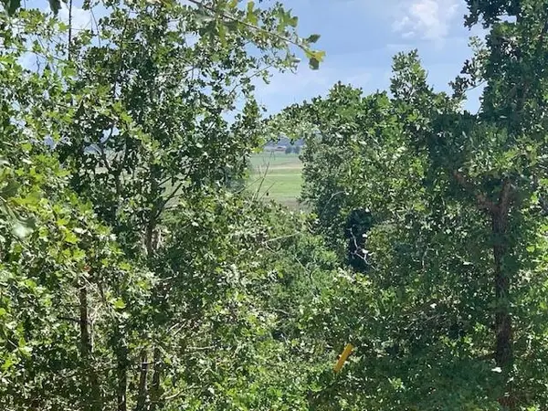107 & 113 McCarthy DR, Bastrop, TX 78602