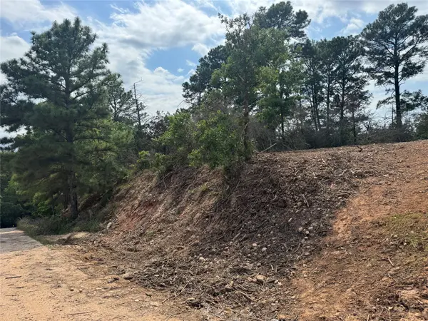 Lots 1263, 1264, 1265 Hanauma DR, Bastrop, TX 78602