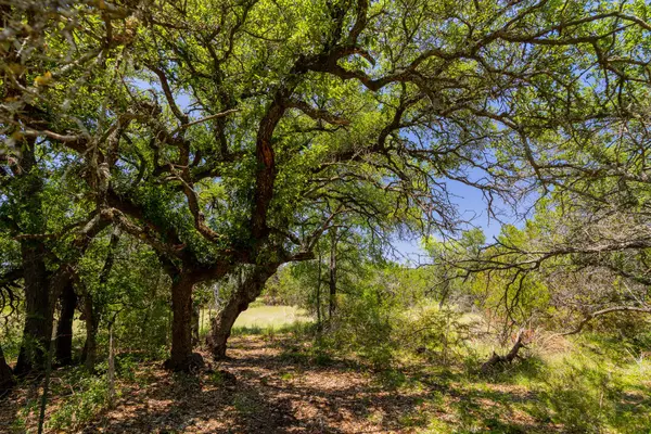 TBD County Road 180 72 ac RD, Purmela, TX 76566