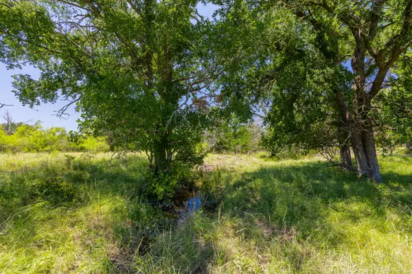 TBD County Road 180 72 ac RD, Purmela, TX 76566