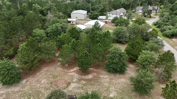 TBD Buckhorn DR, Bastrop, TX 78602