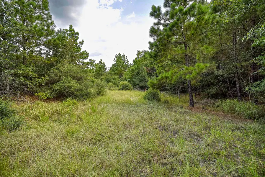 TBD Kipahulu DR #2, Bastrop, TX 78602