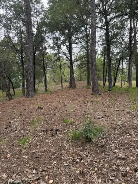 Lot 290 Aka CT, Bastrop, TX 78602
