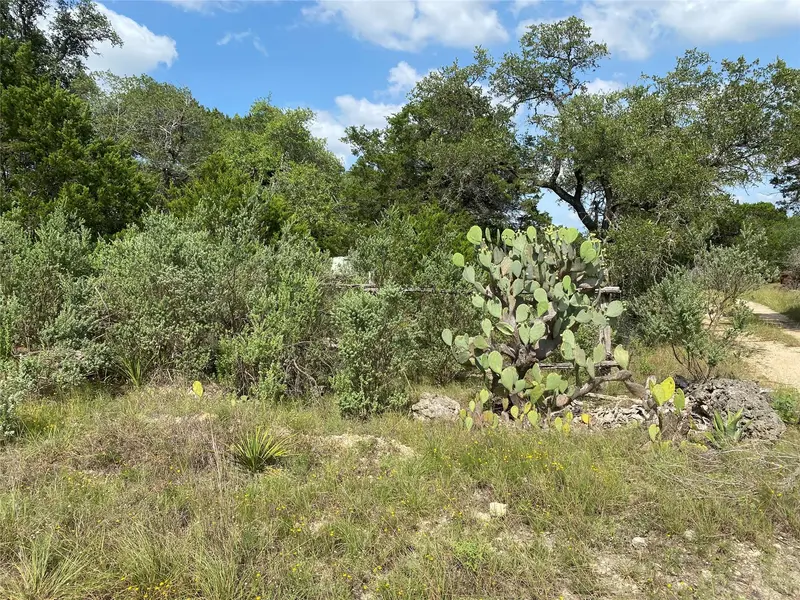 TBD Oak Meadow Lot #35 LN, Wimberley, TX 78676
