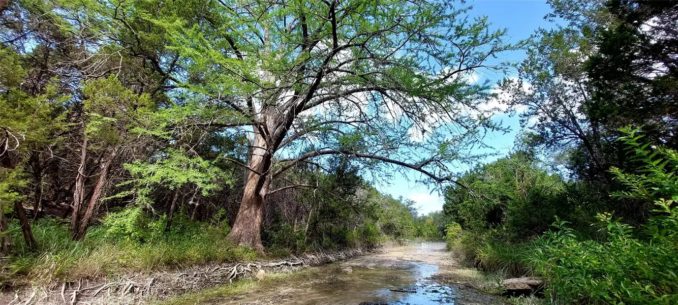 00000 Brinkley DR, Wimberley, TX 78676