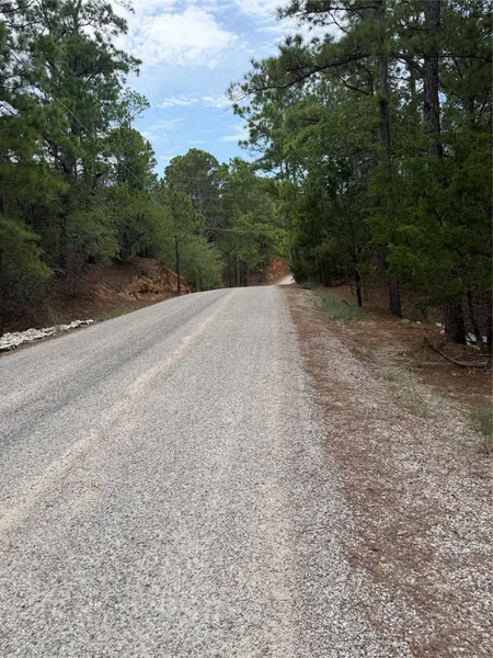 Lots 216 and 217 Hekili DR, Bastrop, TX 78602
