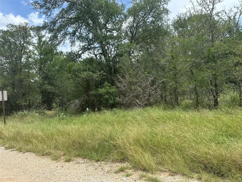 189 Puu Waa Waa LN, Bastrop, TX 78602